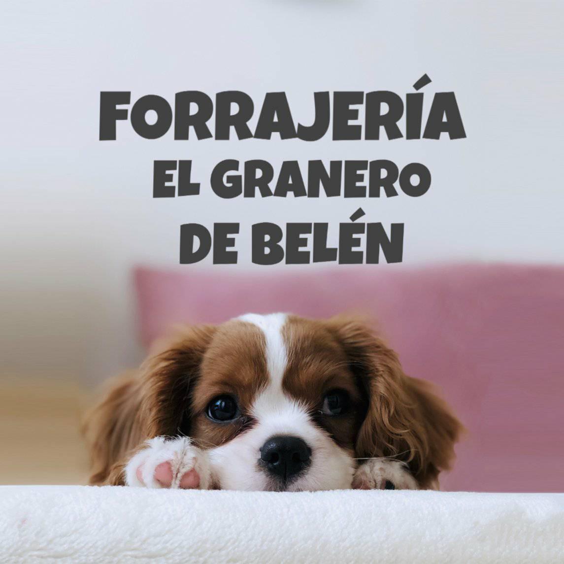 FORRAJERIA EL GRANERO DE BELEN
